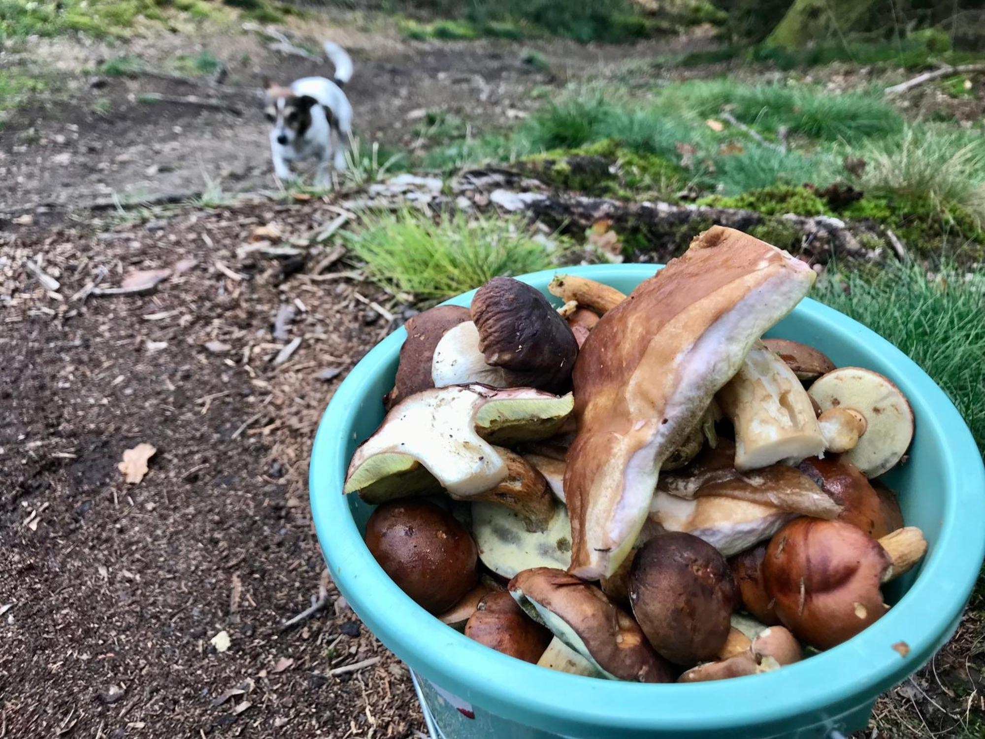 Alfie'S Home Malmedy Εξωτερικό φωτογραφία